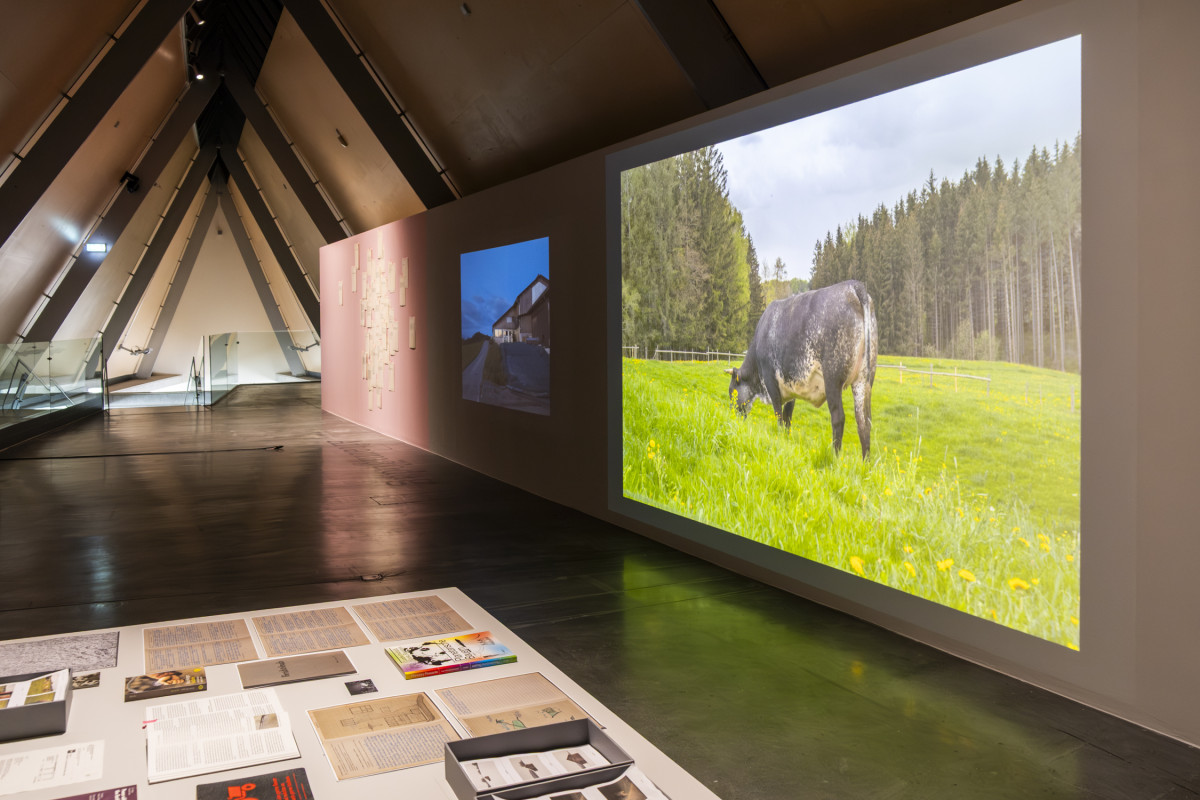 Nicola Reiter, Aftərmähdag. Ausstellungsansicht im Speicher des Kunsthauses Kaufbeuren, 2026.